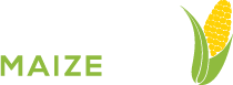 Pan Afric Maize